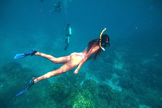 El Cielo Cozumel Snorkel Private Boat + Food + Drinks + Beach - Is The $450 Price Worth It?