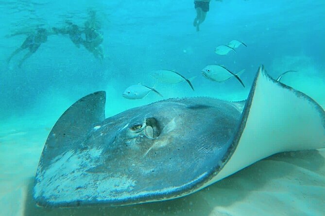El Cielo Cozumel Snorkel Share Boat + Reefs + Food Drinks + Beach - What this Cozumel boat trip is really like