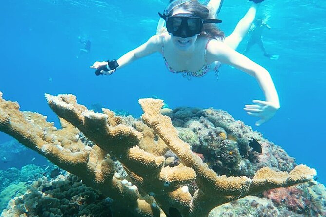 El Cielo Cozumel Snorkel Share Boat + Reefs + Food Drinks + Beach - Colombia Reef and the best chance for fish