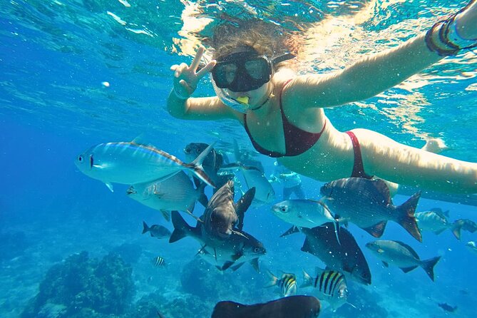El Cielo Cozumel Snorkel Share Boat + Reefs + Food Drinks + Beach - Fresh ceviche, guacamole, and cold drinks