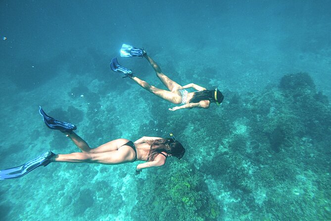 El Cielo Cozumel Snorkel Share Boat + Reefs + Food Drinks + Beach - Small groups, boat comfort, and safety