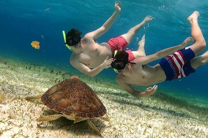 El Cielo Cozumel Snorkel tour by Catamaran - Key points to know before booking