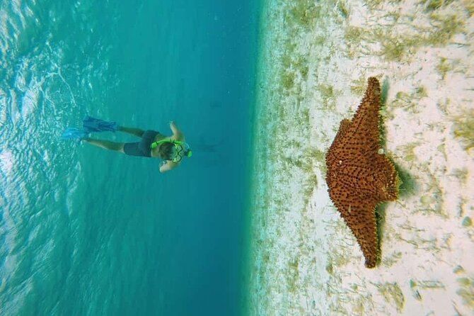 El Cielo Cozumel Snorkel tour by Catamaran - Starting at Marina Cozumel ASIPONA