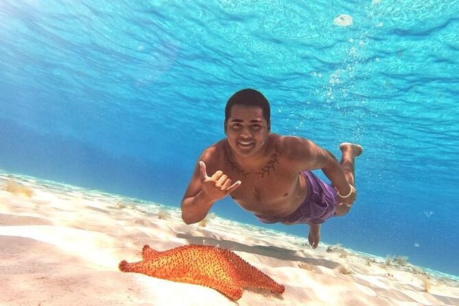 El Cielo Cozumel Snorkel tour by Catamaran - Palancar Reef: your first look below the surface