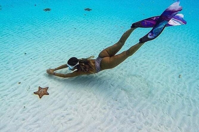 El Cielo Cozumel Snorkeling Tour - All-Inclusive - The extra reef names and what they mean
