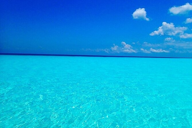 El Cielo Cozumel Snorkeling Tour - All-Inclusive - Pickup is useful, but allow extra time