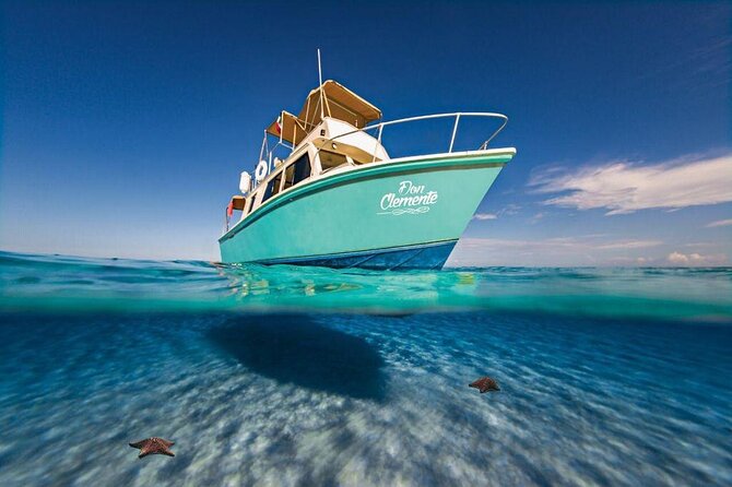 El Cielo Cozumel Snorkeling Tour - All-Inclusive - Palancar and Colombia: the main reason to go
