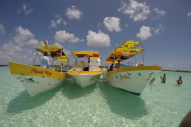 El Cielo Cozumel Snorkeling tour by Private Boat - Why El Cielo makes this tour special