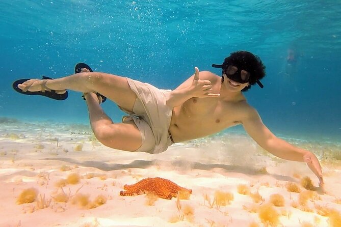 El Cielo Cozumel Snorkeling tour by Private Boat - Stops 4 and 5: Chankanaab Adventure Beach Park and Reef