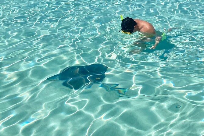 El Cielo Cozumel Snorkeling tour by Private Boat - What you may see beneath the surface