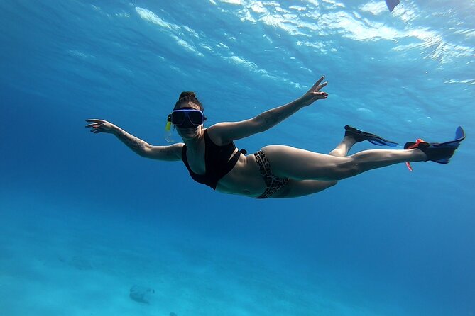 El Cielo Cozumel Snorkeling tour by Private Boat - What the four-hour private boat day feels like