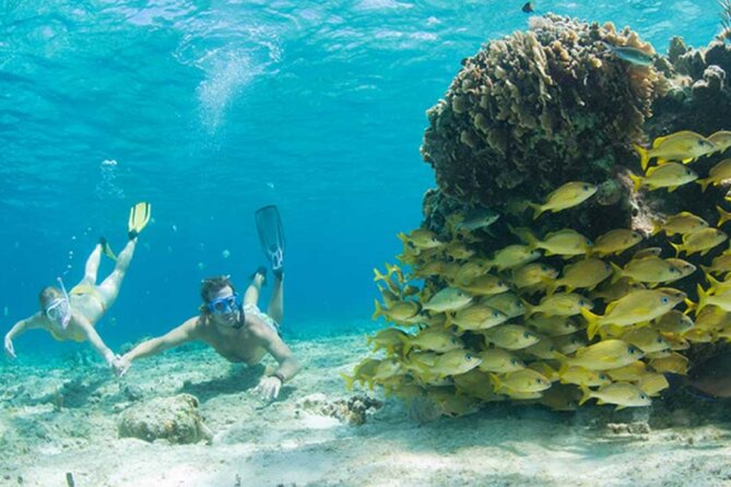 El Cielo Palancar and Columbia Snorkeling Tour - Meeting at the Asta Bandera monument