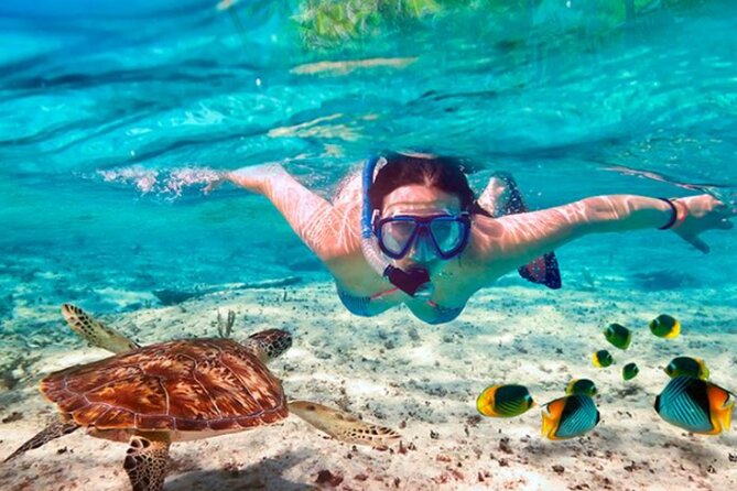 El Cielo Palancar and Columbia Snorkeling Tour - Practical packing for a wet, sunny morning