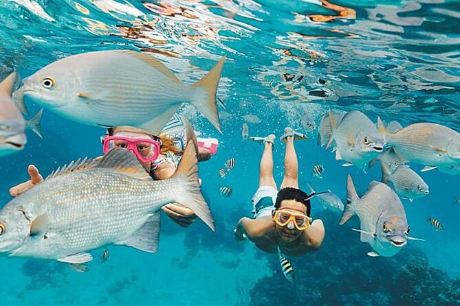 El Cielo Palancar and Columbia Snorkeling Tour - El Cielo is the relaxed finish