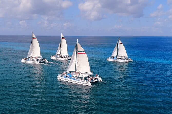 El Cielo, Palancar Snorkel & Beach Party Experience - Is $89 a fair price?