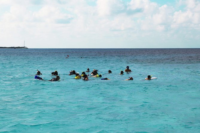 El Cielo Snorkel by Private Boat - Paradise Reef and the search for sea life