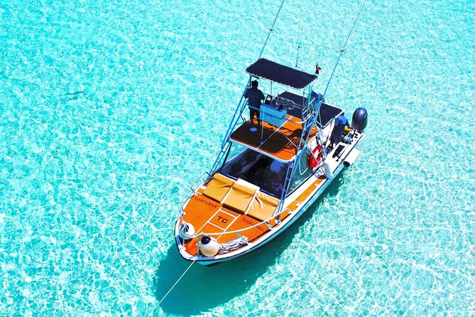 El Cielo Snorkel by Private Boat - Ceviche, fruit, and cold drinks on the water