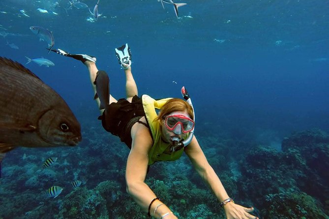 El Cielo Snorkel by Private Boat - Why the private format earns its price