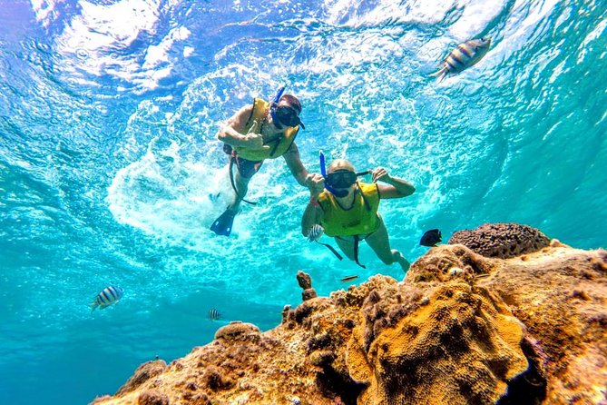 El Cielo Snorkel by Private Boat - Photos are optional, but check the price first