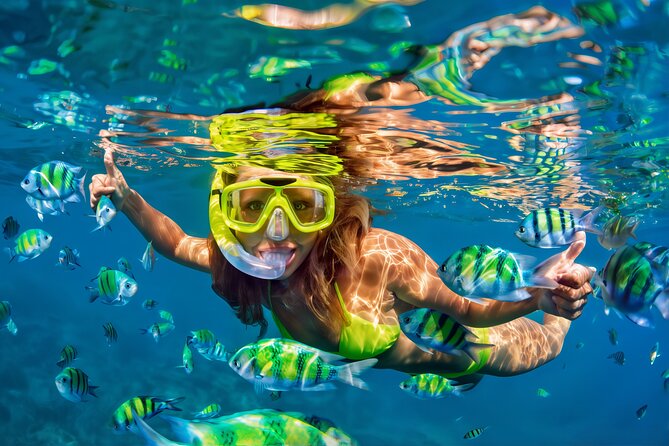 El Cielo Snorkeling Adventure in Cozumel - Key points to know before booking