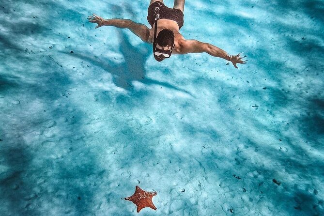 El Cielo Snorkeling Adventure in Cozumel - Four water stops, each with a different purpose