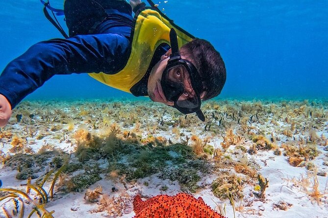 El Cielo Snorkeling Adventure in Cozumel - El Cielito: rays, fish, and an easy finish