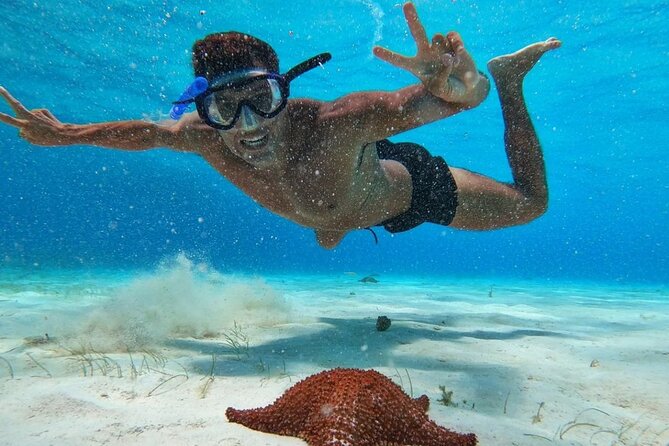 El Cielo Snorkeling Adventure in Cozumel - Food and drinks make the low price more useful