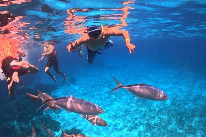 El Cielo Snorkeling Adventure in Cozumel - How the schedule can affect your day