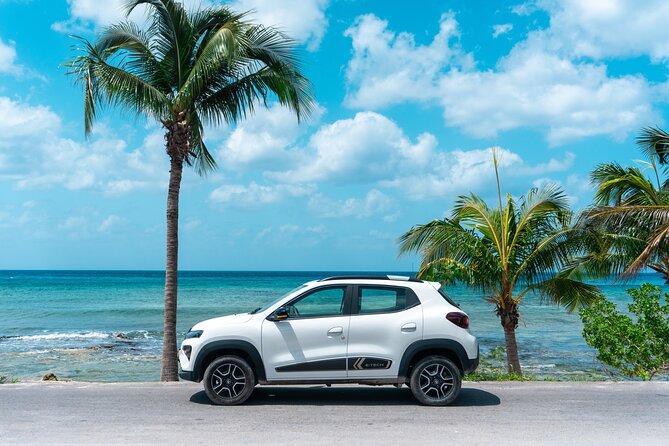 Electric Island Tour with Snorkeling, Lunch & Otoch Mayan Experience - San Martin Beach: lunch with a coastal view
