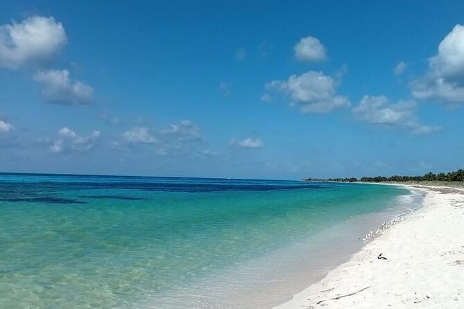Electric Island Tour with Snorkeling, Lunch & Otoch Mayan Experience - Otoch: food, ceremony, and Mayan traditions