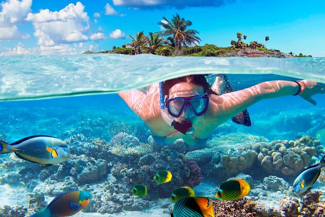 Electric Island Tour with Snorkeling, Lunch & Otoch Mayan Experience - What the guide adds to the day