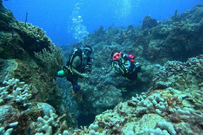 Enjoy two dives without previous experience with a boat trip - What this Cozumel beginner program really offers