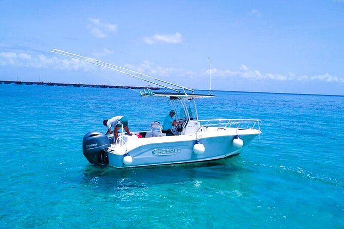 Exclusive Private Boat to El Cielo - Drinks, ceviche, and the Money Bar stop