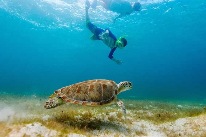 Exclusive Private Boat to El Cielo - What to wear and what to pack