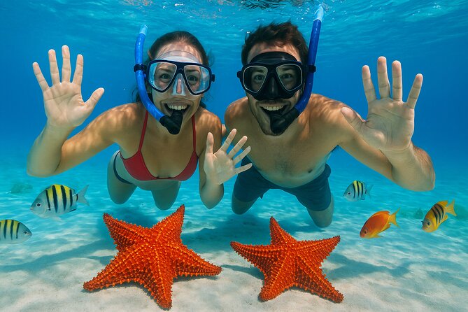 Exploration to El Cielo and Reefs: Live up close with stars - Key points to know before you go