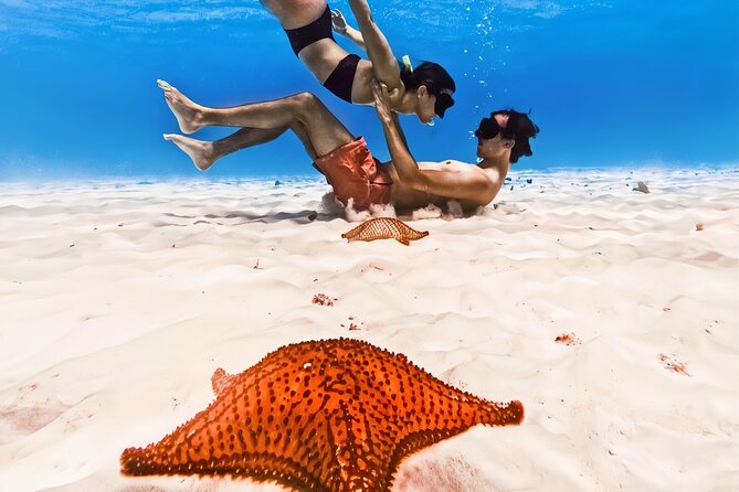 Exploration to El Cielo and Reefs: Live up close with stars - Why this Cozumel reef trip is appealing
