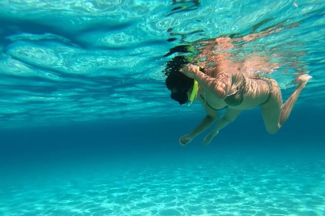 Exploration to El Cielo and Reefs: Live up close with stars - Palancar Reef, coral and sea turtles