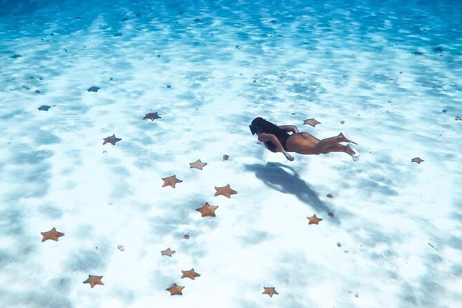 Exploration to El Cielo and Reefs: Live up close with stars - El Cielo, the starfish sandbar