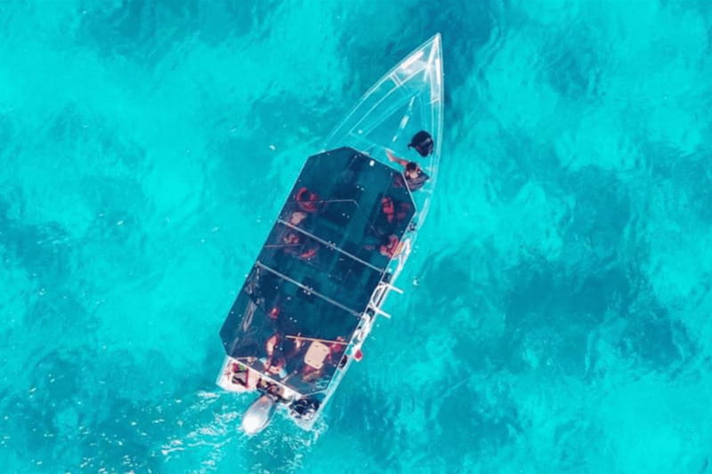 Explore the sea of cozumel in a transprent boat with drinks and snorkel. - Starting Downtown at Envatours Cozumel