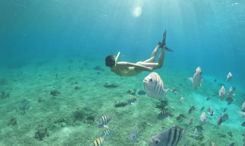 Explore the sea of cozumel in a transprent boat with drinks and snorkel. - Two Drinks and a Comfortable Pace