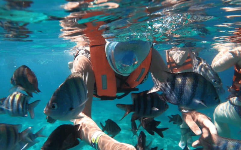 Explore the sea of cozumel in a transprent boat with drinks and snorkel. - Who Will Enjoy This Cozumel Boat Tour