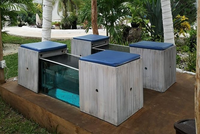 Fish Spa, Beach Break with Lounge Chairs, Umbrellas & Beach Area - The Fish Spa Comes First