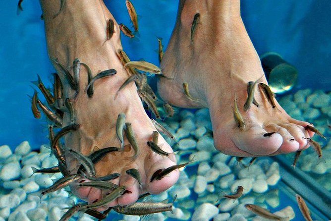 Fish Spa, Beach Break with Lounge Chairs, Umbrellas & Beach Area - Making the Most of One to Five Hours