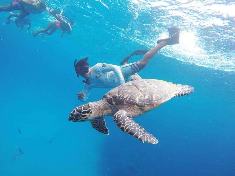 From Cozumel: 3 Reefs Boat Tour with Drinks and Snorkeling - What the $57 Cozumel tour really includes