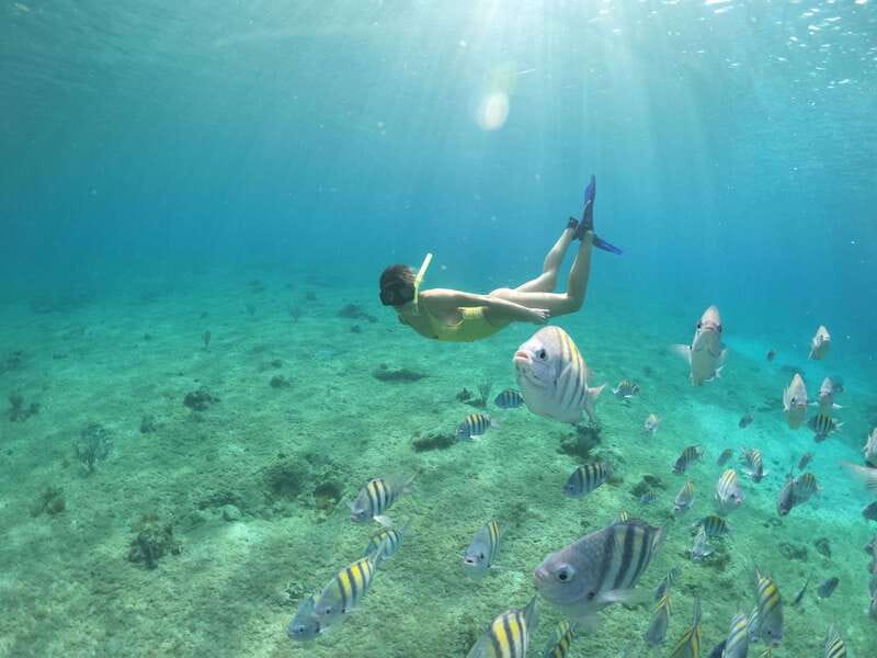 From Cozumel: 3 Reefs Boat Tour with Drinks and Snorkeling - Who will enjoy this trip most