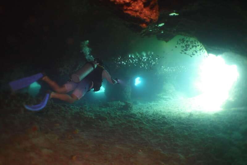 From Cozumel: Chankanaab Cozumel Scuba Diving - Booking details that matter