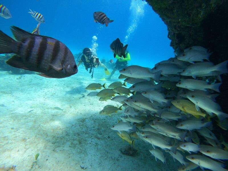 From Cozumel: Chankanaab Cozumel Scuba Diving - Fish, sculptures, and cave formations below the surface