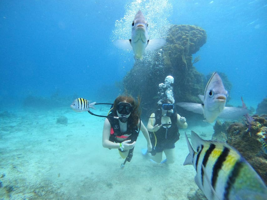 From Cozumel: Chankanaab Cozumel Scuba Diving - Health, comfort, and who should skip it