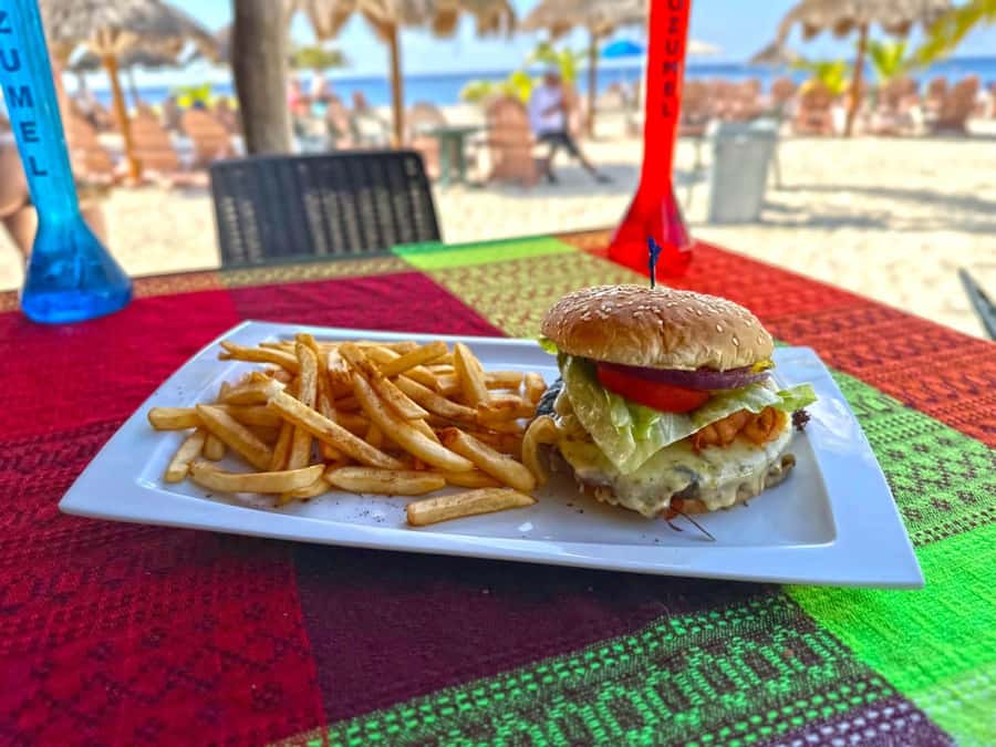 From Cozumel: Chankanaab Park Day pass with Open Bar & Lunch - Key points to know before you go