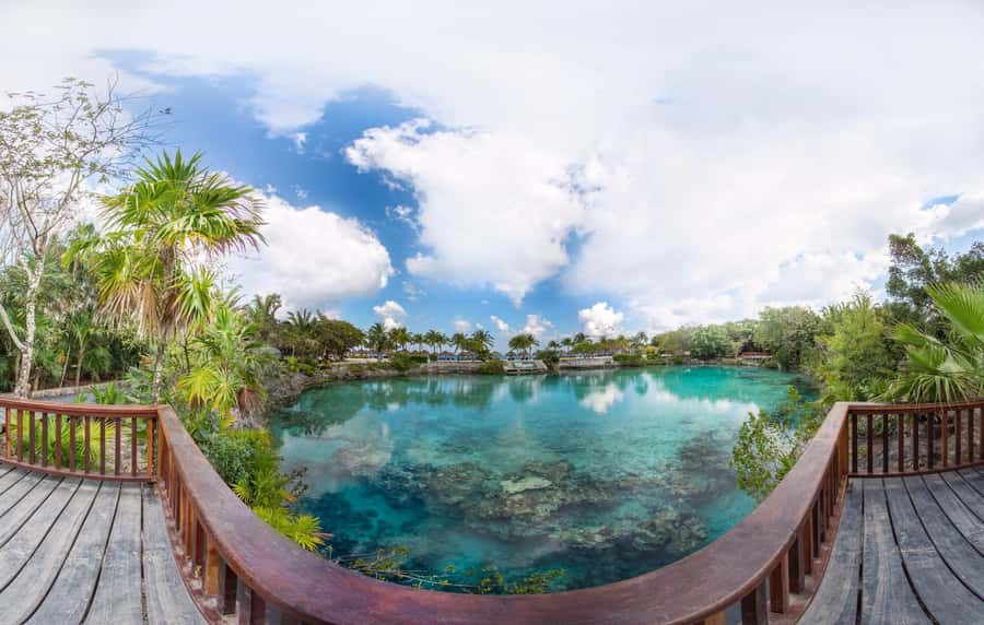 From Cozumel: Chankanaab Park Day pass with Open Bar & Lunch - A sea-view lunch with an open bar